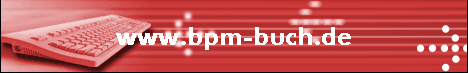 www.bpm-buch.de